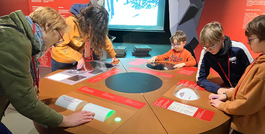 Exposition ours muséum la rochelle sortie famille enfant