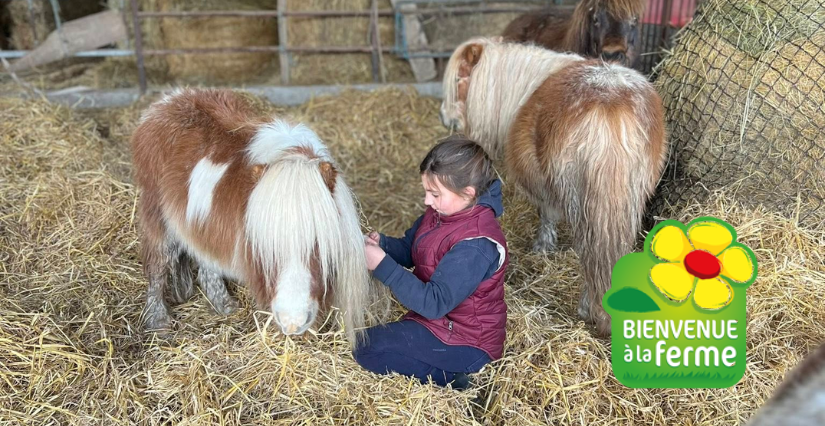 Bienvenue à la ferme Charente-Maritime : des sorties familiales toute l'année