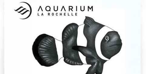 Passeport Grand Ami, profitez de l'Aquarium de La Rochelle en illimité tout au long de l'année