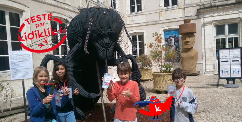 Un après-midi au Muséum d'Histoire Naturelle de La Rochelle !