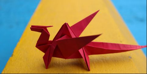 "Animaux de papier" atelier pour les 7-10 ans au Muséum d'Histoire Naturelle de La Rochelle