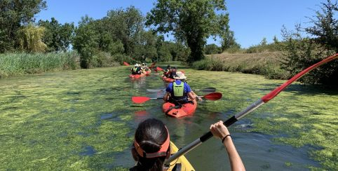 "Tous en kayak" sortie nature sur le site de Broue, entre Rochefort et Royan