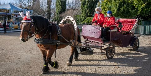 La Calèche du Père-Noël, une balade gratuite à Saintes