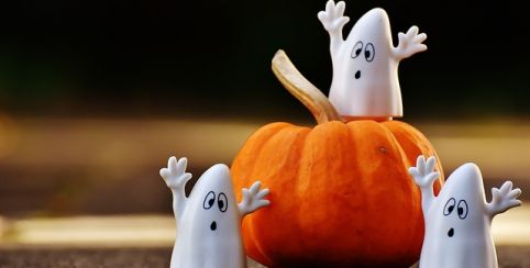 "des bonbons et on sort ! " Balade gourmande des enfants à la Cité de l'Huître, à Marennes