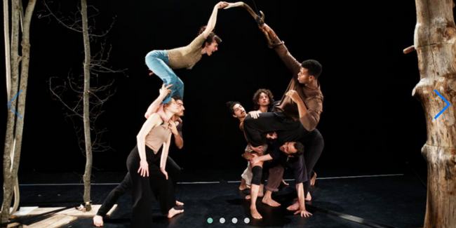 Brame | spectacle de cirque, dès 10 ans | Théâtre d'Angoulême kidklik 16-17