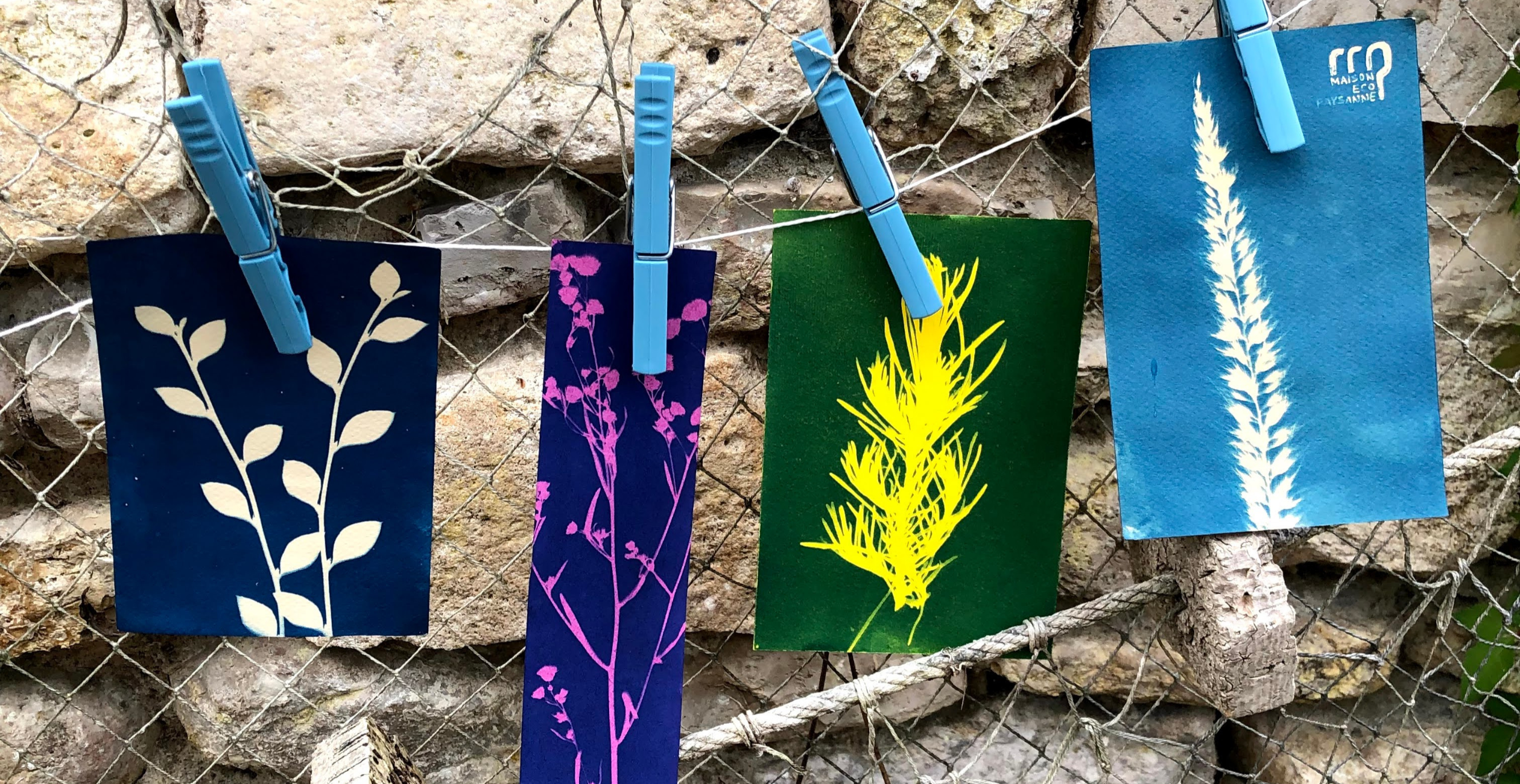 "Cyanotype" atelier enfant au Musée de l'île d'Oléron