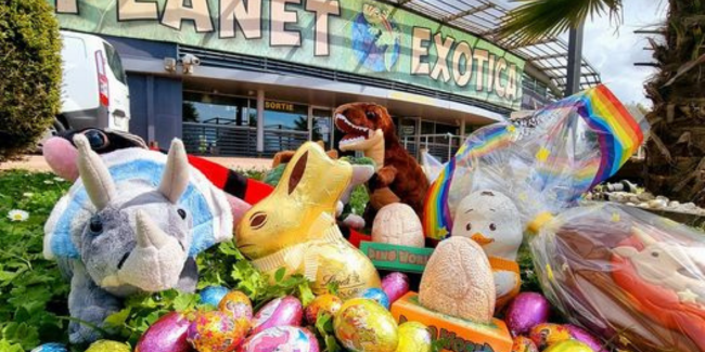 Grande chasse aux oeufs à Planet Exotica à Royan