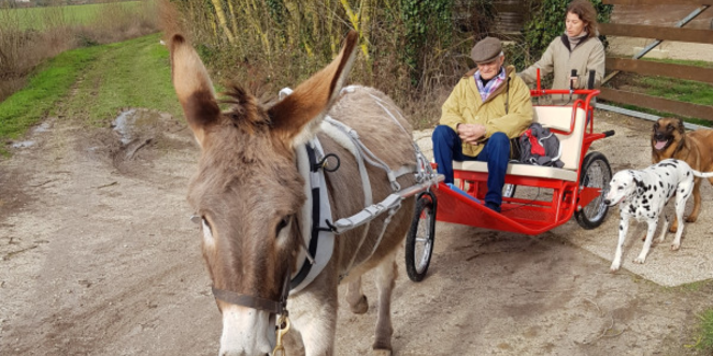 Escargoline Tour en famille, à la ferme de l'Asinerie des Varennes, près de La Rochelle