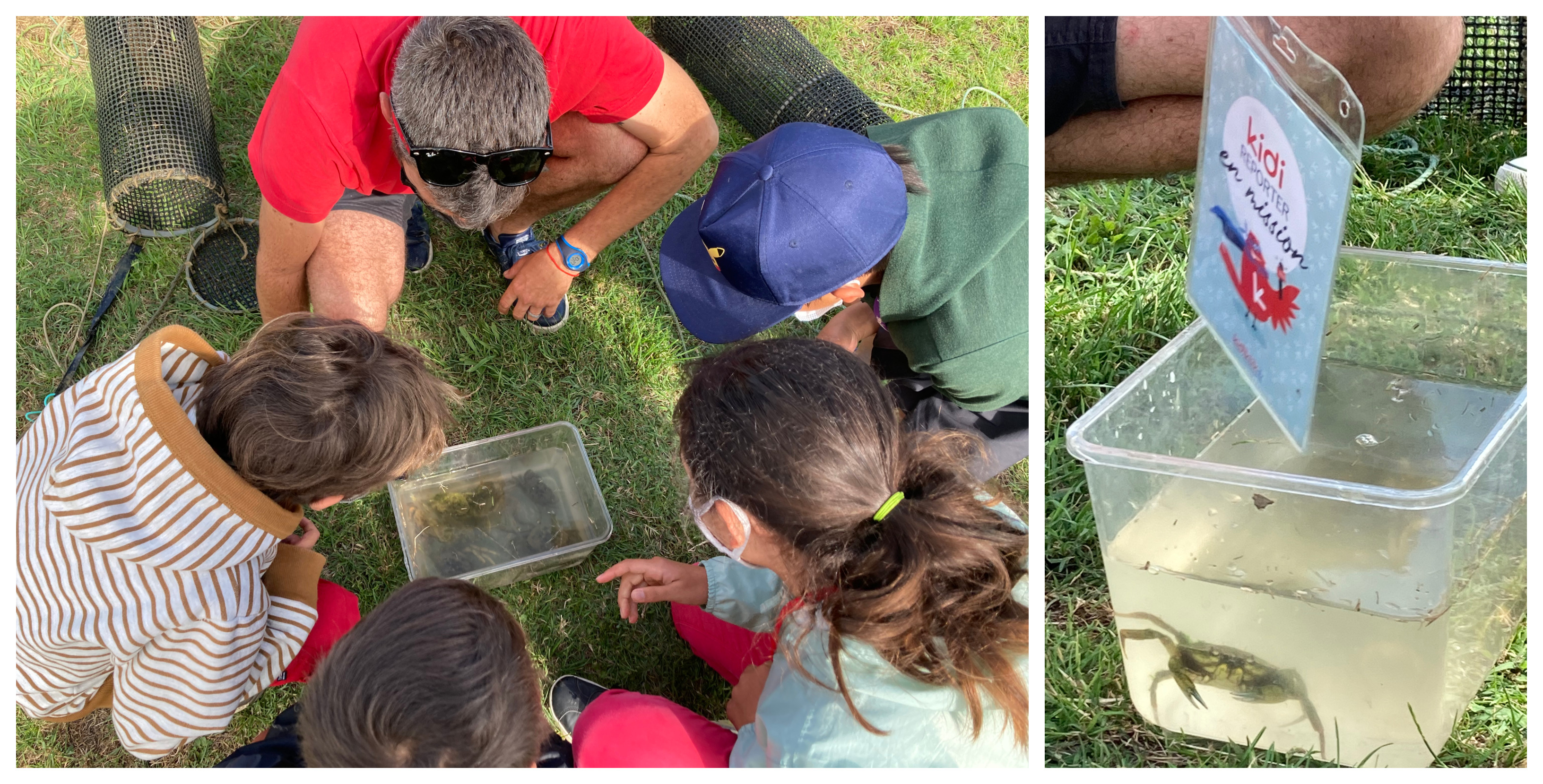 "Attraper les crabes" atelier dès 7 ans pour les vacances d'avril à La Cité de l'Huître à Marennes