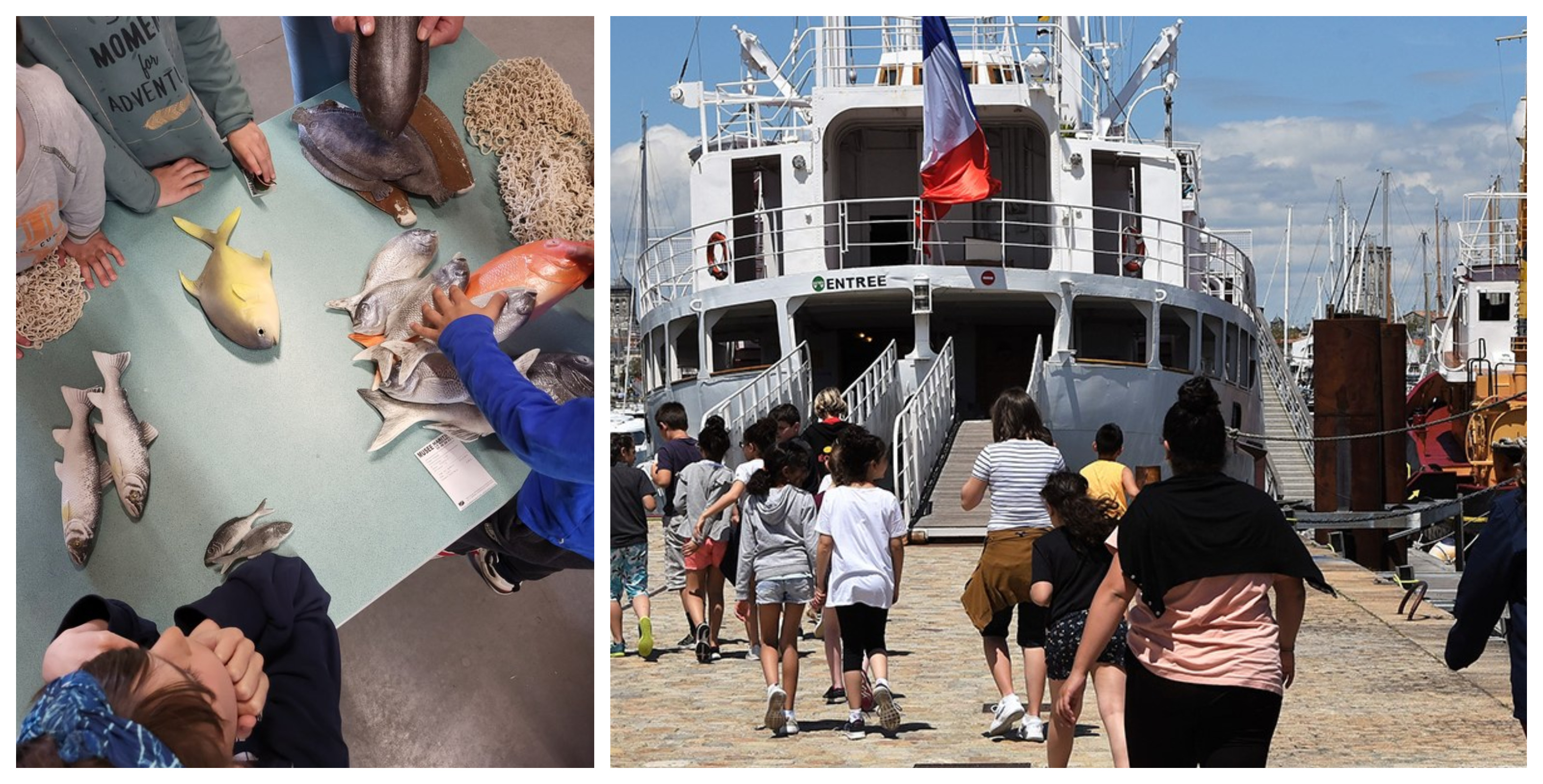 "Allons à la pêche !" atelier ludique au Musée Maritime La Rochelle