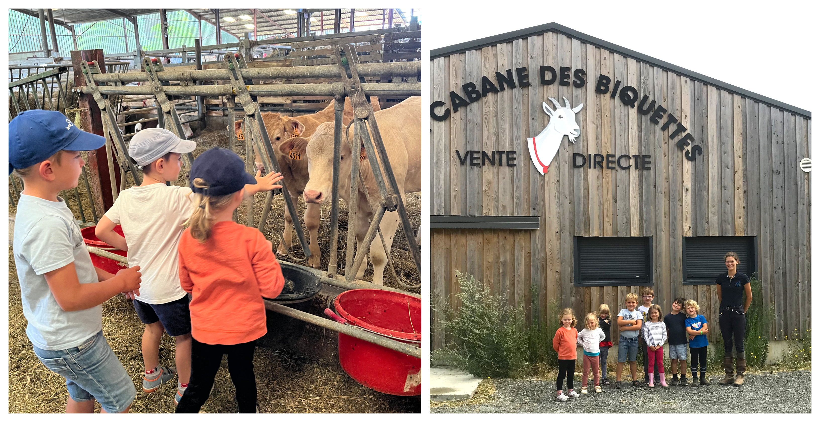 Stage "Graine de fermier" au centre équestre de la Maison du Poney, près de La Rochelle