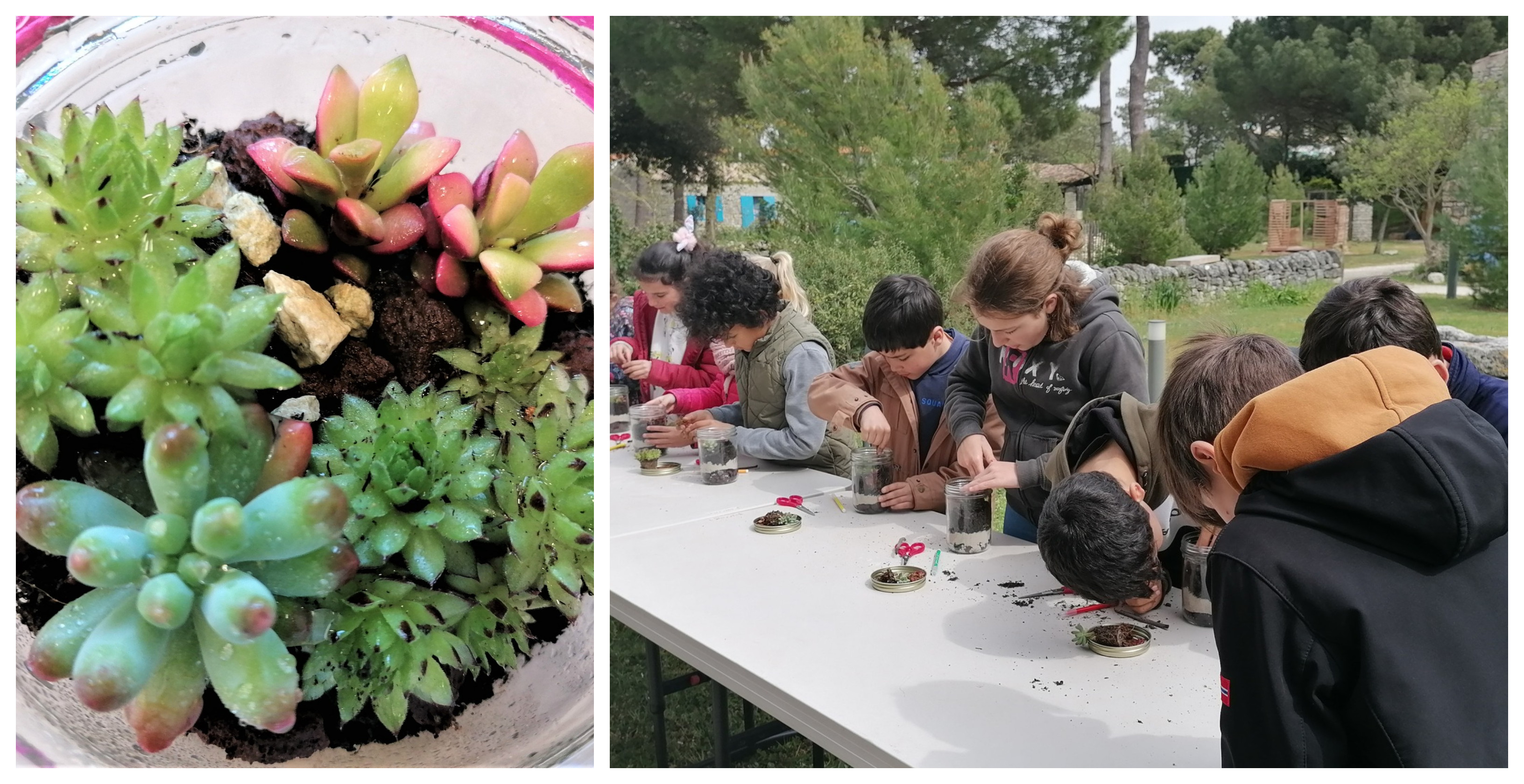 "Mon jardin sous le verre" atelier enfant à la Maison éco-paysanne, île d'Oléron