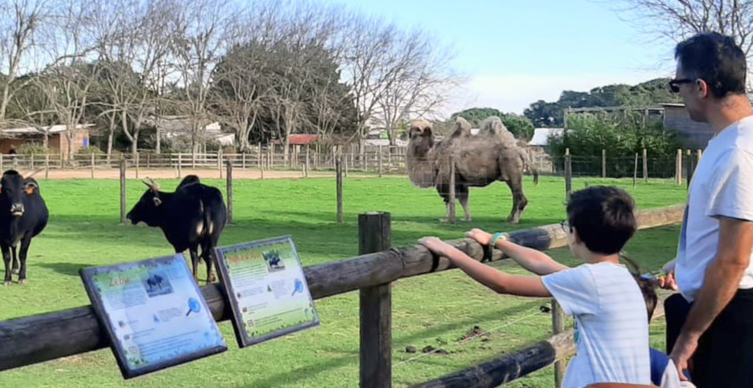 La ferme de Magné est ouvert tous les jours en été, près de Royan, Saintes et Rochefort