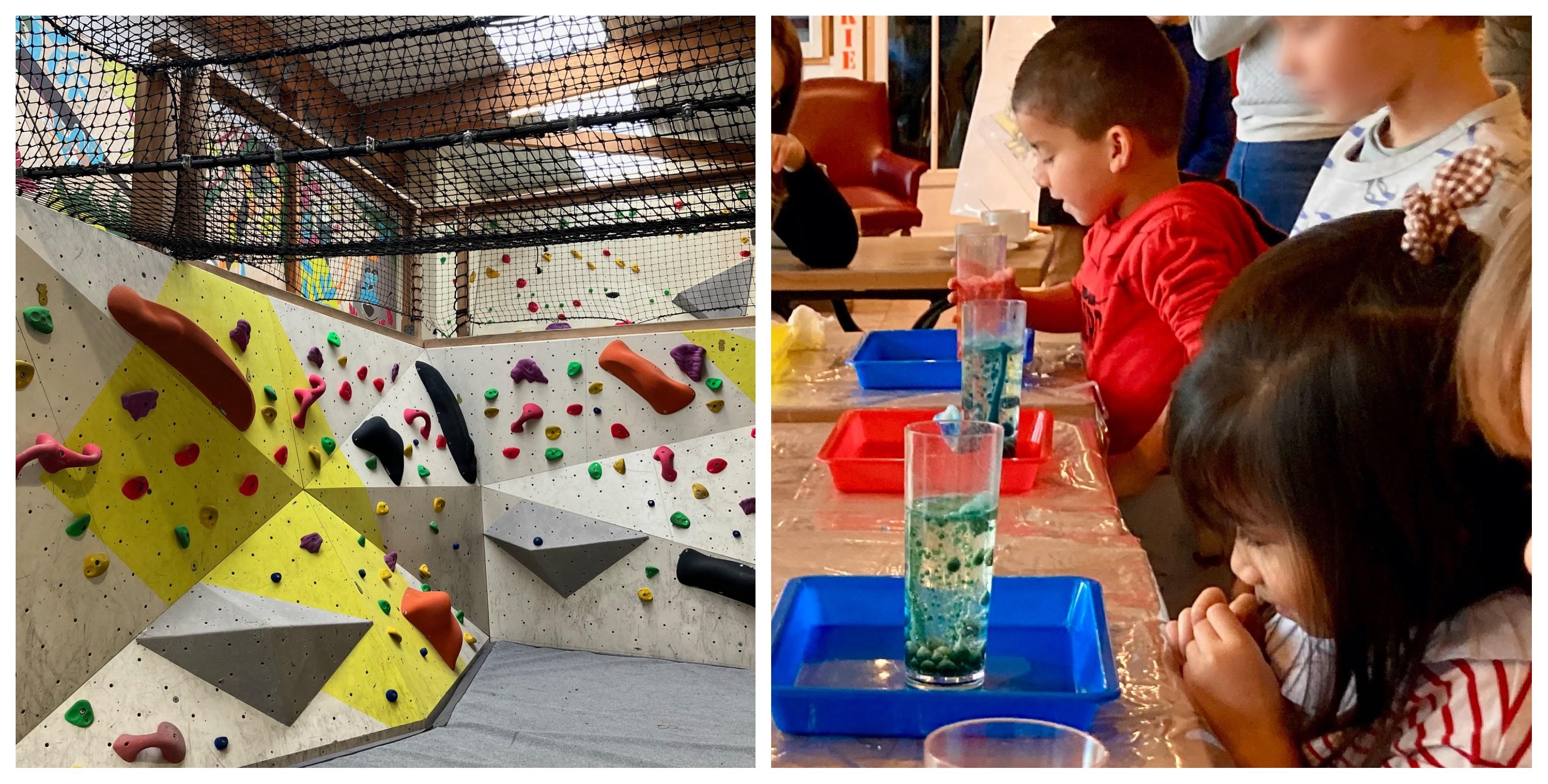Stage enfant 7-10 ans "Malin comme un singe" aux Cabanes Urbaines de La Rochelle
