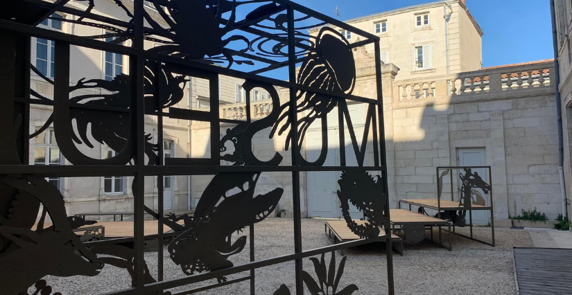 "Voyage en Polynésie" atelier pour les enfants curieux au Muséum de La Rochelle
