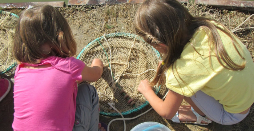 Sortie pêche à pied en famille avec les cabanes de l'Estuaire, à Port des Barques