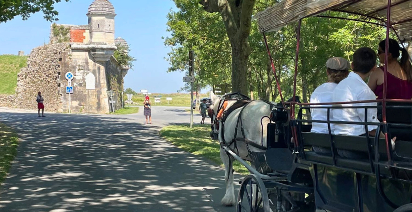 Circuit en calèche à la Citadelle de Brouage
