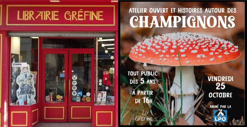 Rencontre pour amateurs de champignons à la Librairie Gréfine La Rochelle