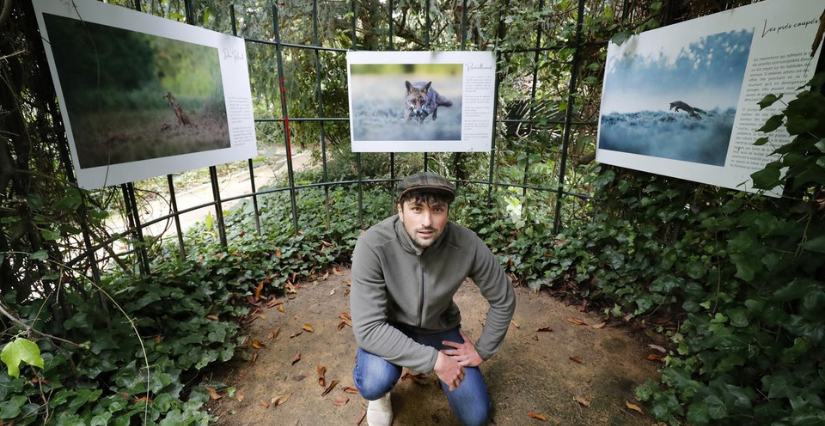 Mardi docu "Insaisissable" de Marc Ollivier au Muséum d'Histoire Naturelle de La Rochelle