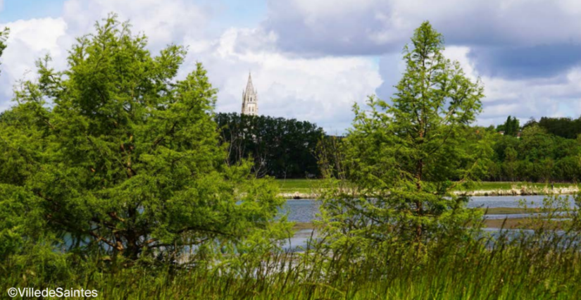 Rendez-vous aux jardins : sortie famille à Saintes