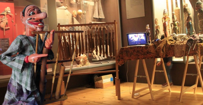 "Petites mains, grandes notes !" au muséum d'histoire naturelle de La Rochelle