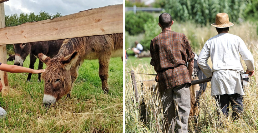 "L'Histoire est dans le pré" à Cassinomagus, près de Confolens en Charente