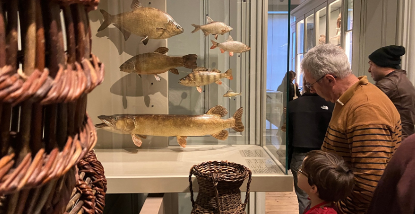 "Plongée dans l'Océan" animation au Muséum d'Histoire Naturelle de La Rochelle