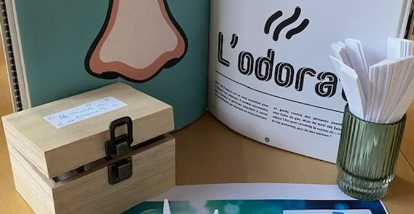 Atelier Découverte du Monde des odeurs au Muséum de La Rochelle