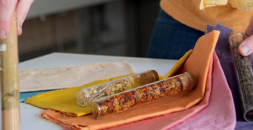 Atelier créatif "teinture naturelle" en famille, au Muséum de La Rochelle