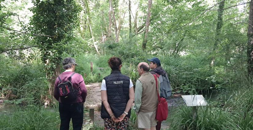 Balade commentée "Pierrette et les secrets de la vallée" au Paléosite de St Césaire, entre Saintes et Cognac