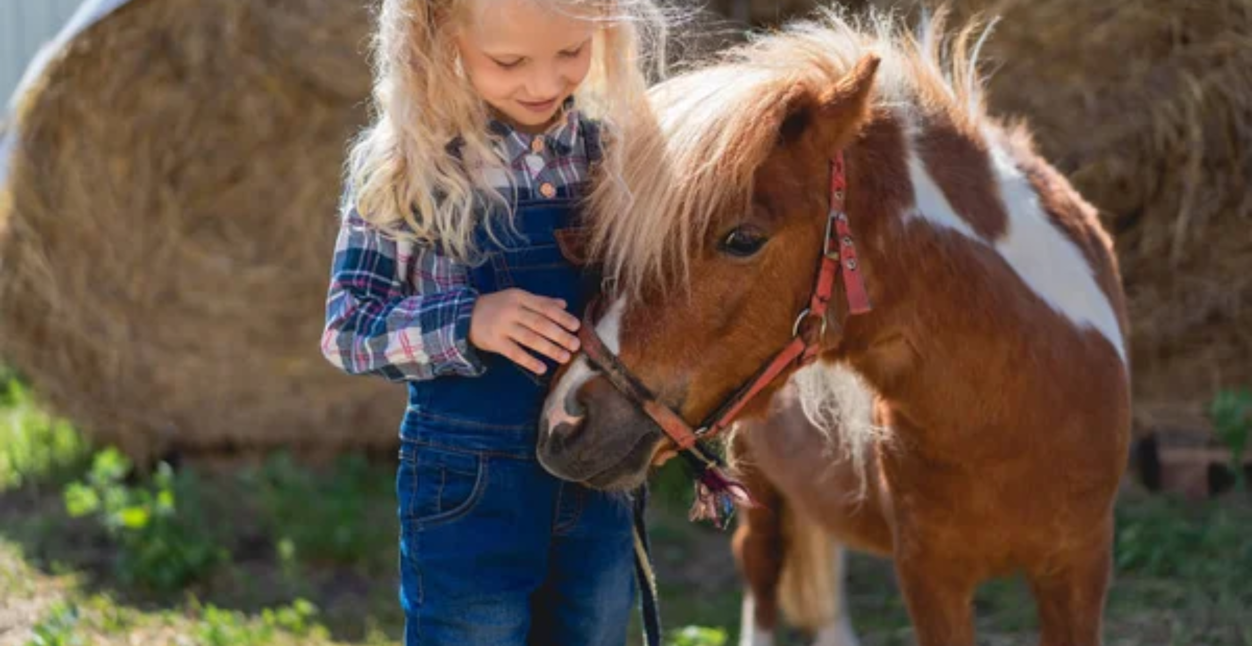 Journées portes ouvertes et guinguette à la Maison du Poney près de La Rochelle