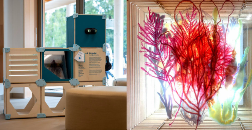 La Fête de la Science à la Médiathèque Michel-Crépeau de La Rochelle