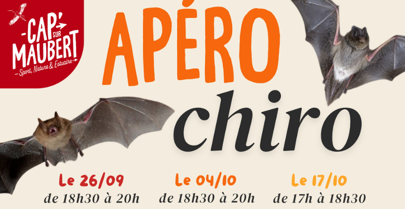 Apéro "Chiros", découverte de la chauve-souris à Cap' sur Maubert, sur l'estuaire de la Gironde