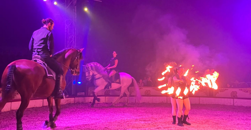 Festival international du cirque de Périgny, près de La Rochelle
