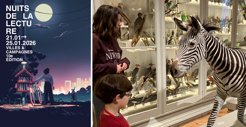 Nuit de la lecture au Muséum d'histoire naturelle de La Rochelle