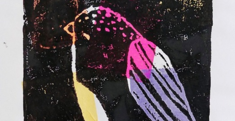 Dimanche en famille "Oiseaux imaginaires" au musée du Nouveau Monde de La Rochelle