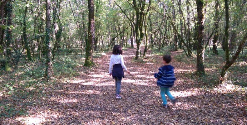 Visites guidées nature avec Animéa autour de La Rochelle