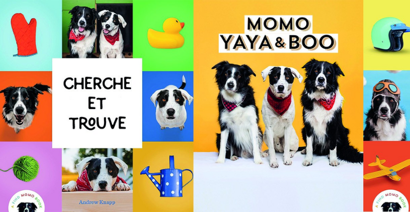 Cherche et trouve Momo pour les petits dans la librairie Gréfine