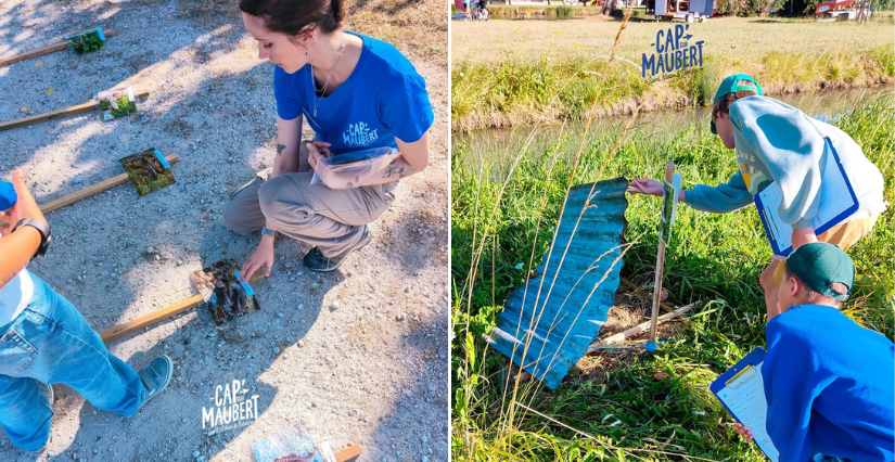 "Mercredis Nature" à Cap' sur Maubert à Saint-Fort-sur-Gironde