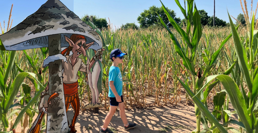 Labyrinthe de maïs en été au Château-Fort de Mélusine, entre Rochefort et La Rochelle