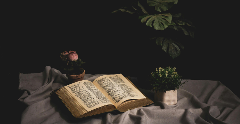 "Les natures mortes revisitées", animation famille au musée de l'Échevinage de Saintes