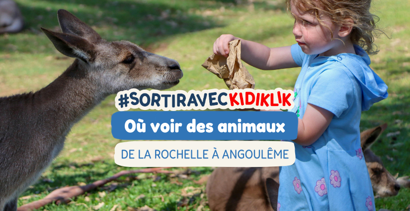 Où voir des animaux en Charentes ? Le top des fermes pédagogiques et parcs animaliers de La Rochelle à Angoumême