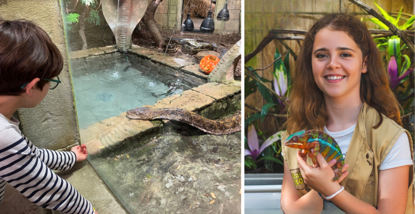 Animation "Soigneur d'un jour" à Planet Exotica, à Royan