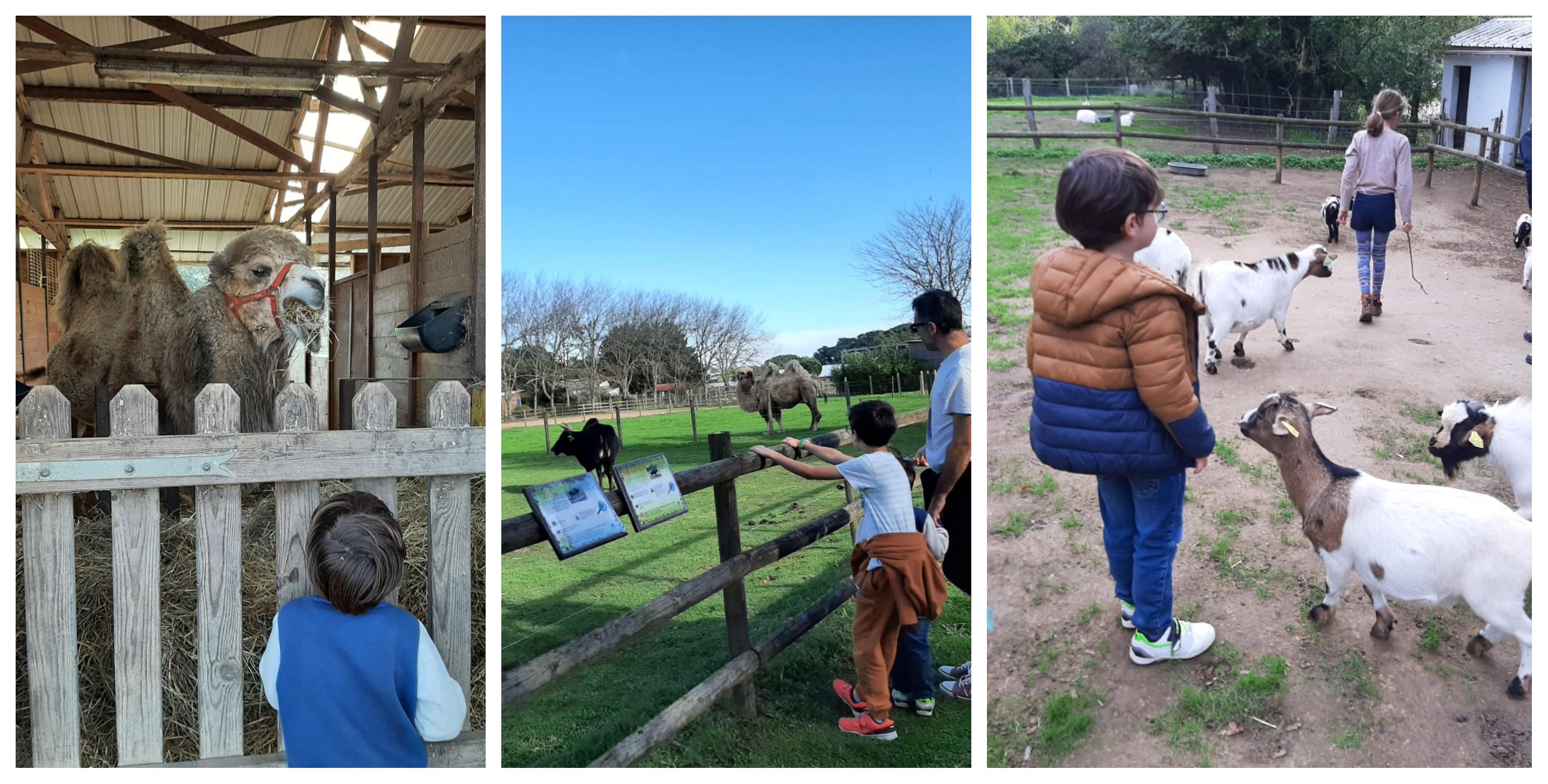 Le parc animalier de la ferme de Magné, ouvert tous les jours pendant les vacances de printemps
