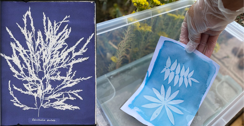 "Impressions de lumière" stage ado au musée maritime La Rochelle