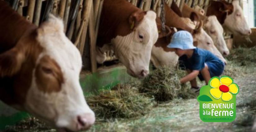 Animations familles avec Bienvenue à la Ferme Charente-Maritime