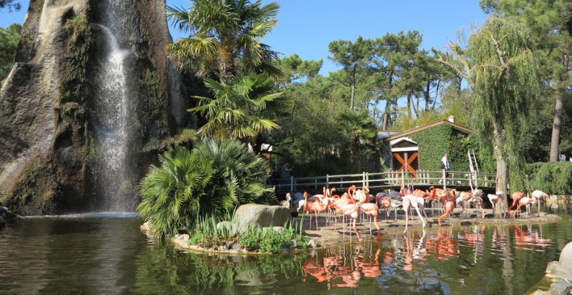 Zoo de la Palmyre, le Parc zoologique de La Palmyre