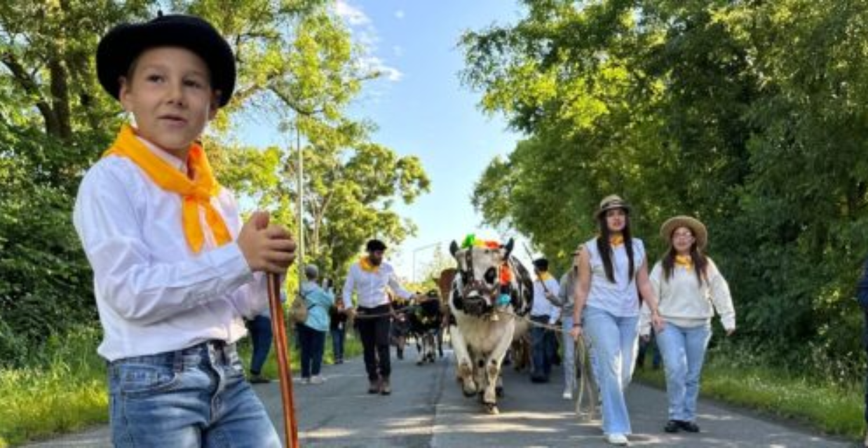 Fête de la Transhumance de la Vallée du Curé, départ de Saint Sauveur d’Aunis