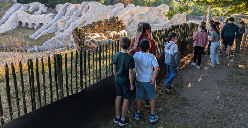 "Les Arènes, 2000 ans d’histoire", visite des Arènes de Saintes