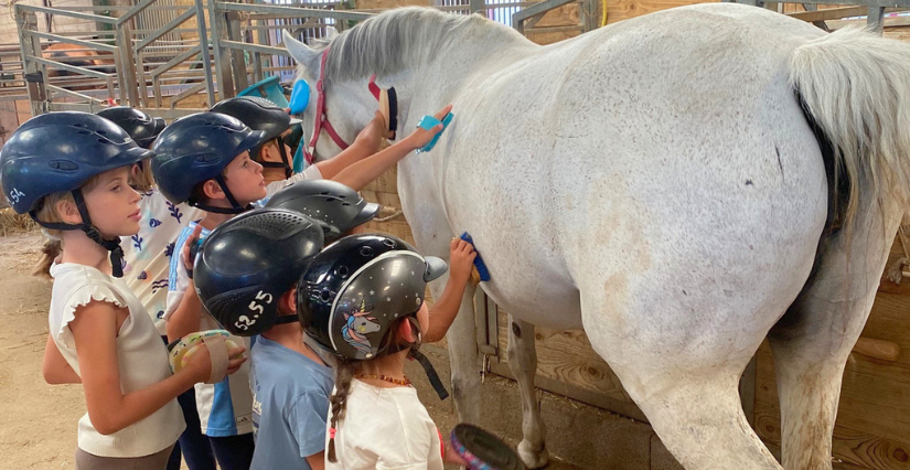 Stage équitation thématique à la Maison du Poney, près de La Rochelle